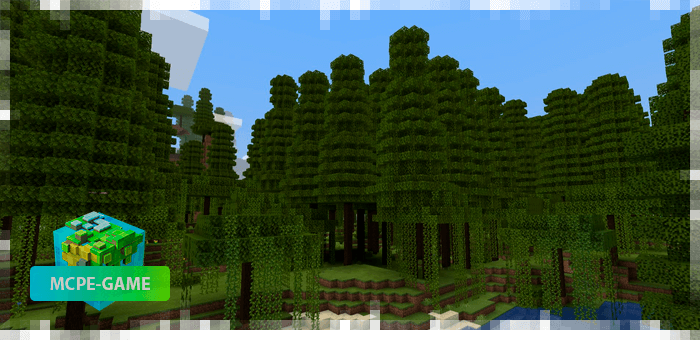 New biome Temperate Tropical Forest