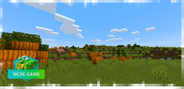 New biome Pumpkin Grove