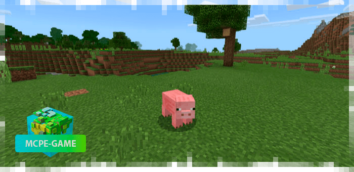 Example of becoming a pig in Minecraft PE