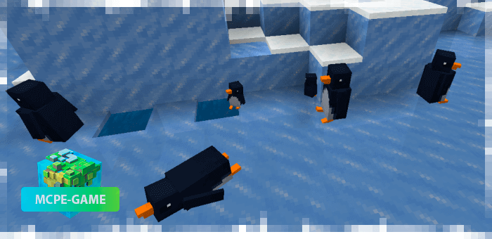 Penguins