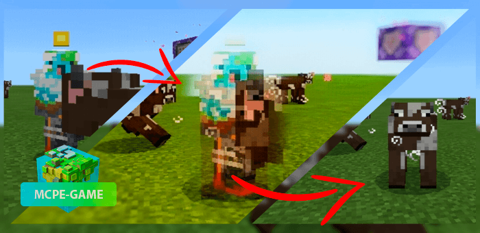 get morphing mod in minecraft pe