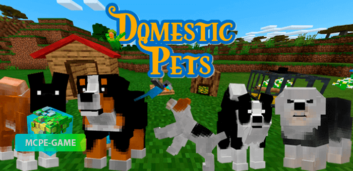 Minecraft Domestcpets Add On Download Review Mcpe Game