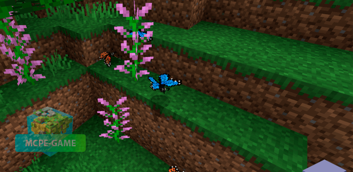 Butterfly mod for Minecraft PE