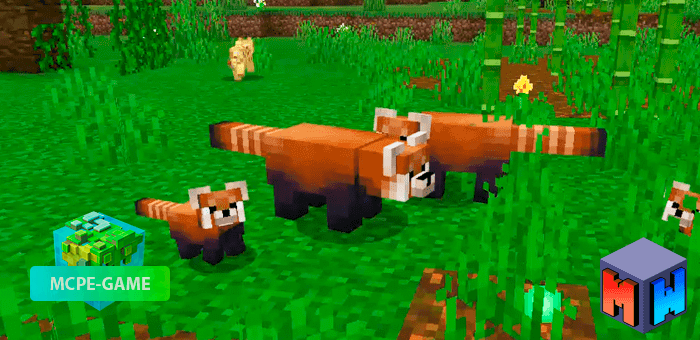 Red Panda — Мод на красных панд
