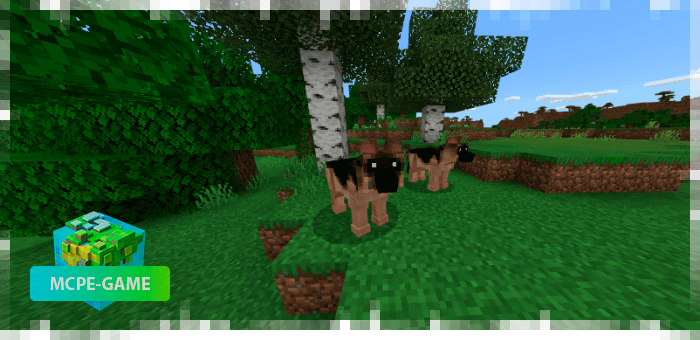 Dogs from the DomesticPets pet mod on Minecraft PE