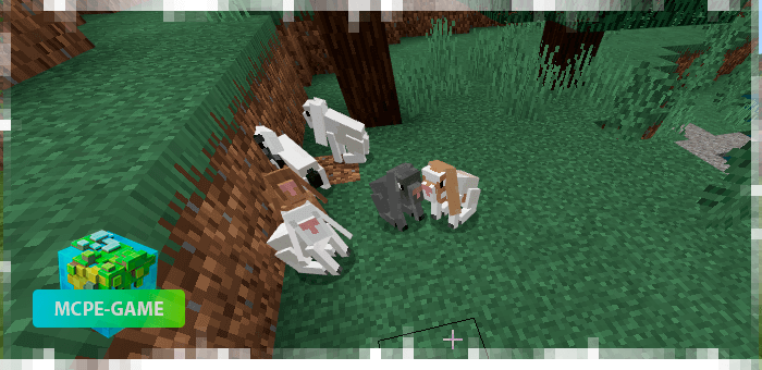 Rabbits from the DomesticPets pet mod on Minecraft PE