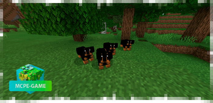 Dogs from the DomesticPets pet mod on Minecraft PE