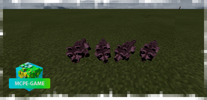 Raccoons from the Mo'creatures mod
