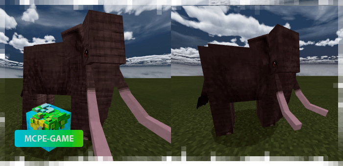 Elephants from Mo'creatures mod