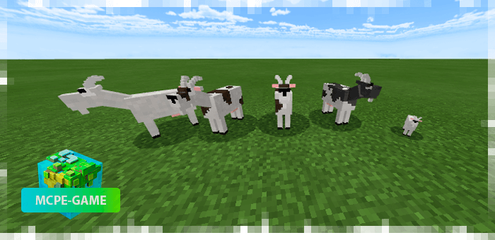 Goats from the Mo'creatures mod