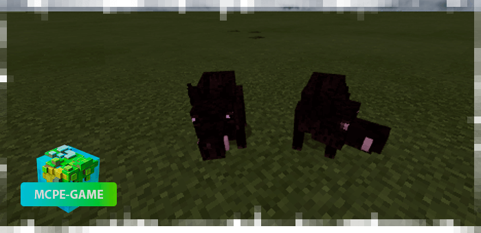 Boars from the Mo'creatures mod