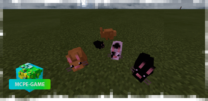 Rabbits from the Mo'creatures mod