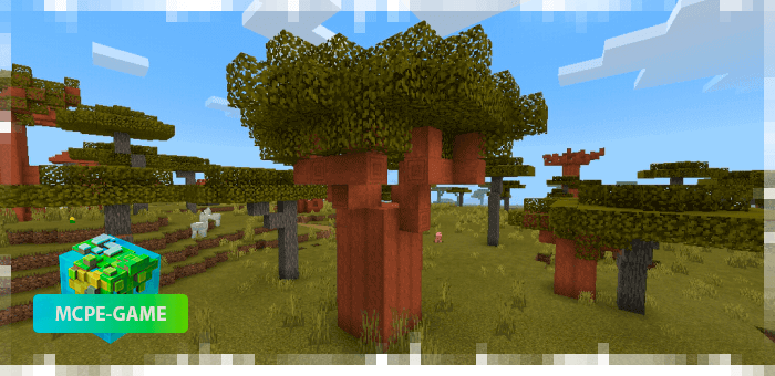 Баобаб из мода на реалистичные деревья Aesthetic Trees в Minecraft PE