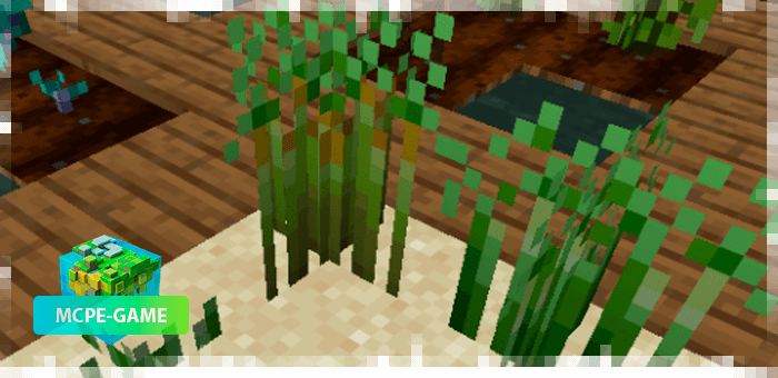 Asparagus from the farming mod in Minecraft PE