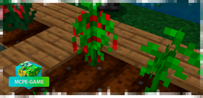 Hot peppers from the farming mod on Minecraft PE