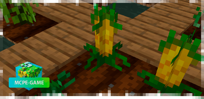 Pineapple from the farming mod in Minecraft PE