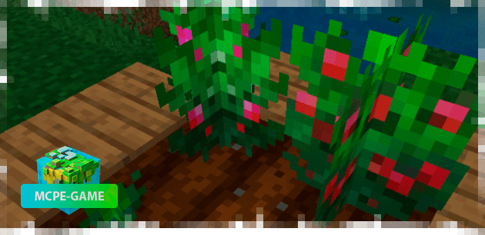 Strawberries from the farming mod in Minecraft PE