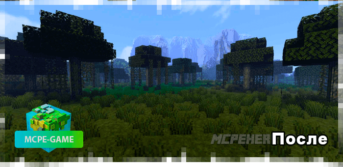 After installing the biome improvement mod on Minecraft PE