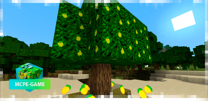 Lemon Tree from the MoreTrees fruit tree mod for Minecraft PE