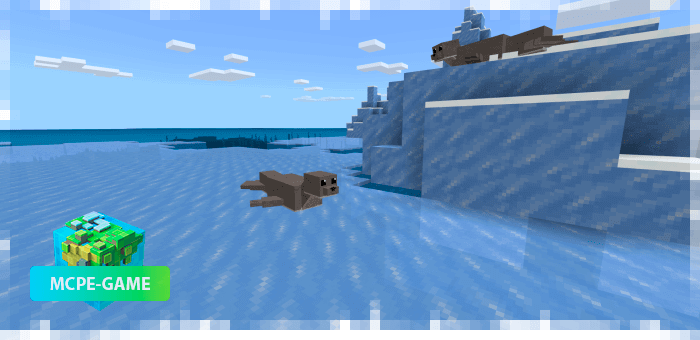 Seals from the World Animals mod
