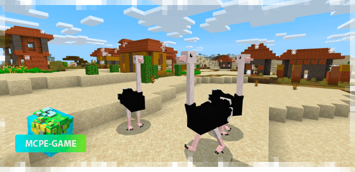 Ostriches from the World Animals mod