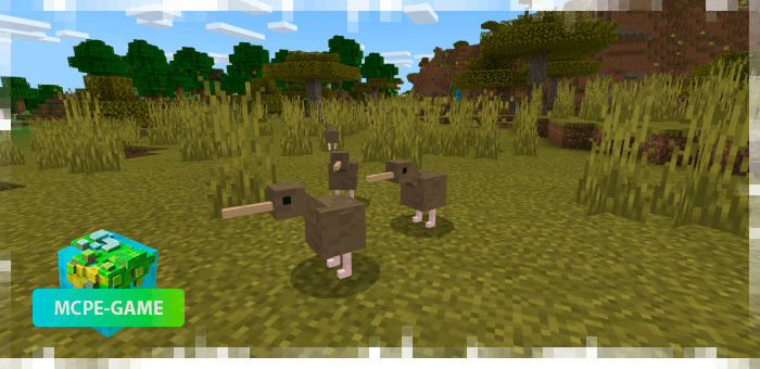 Kiwi from the World Animals mod