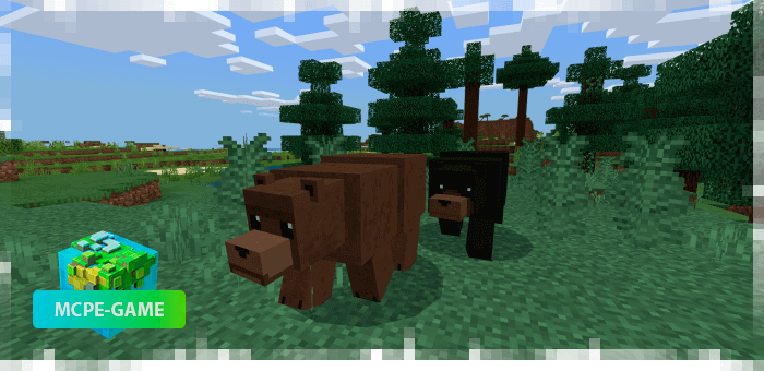 Bears from the World Animals mod