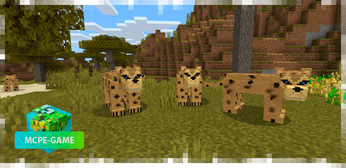 Leopards from the World Animals mod