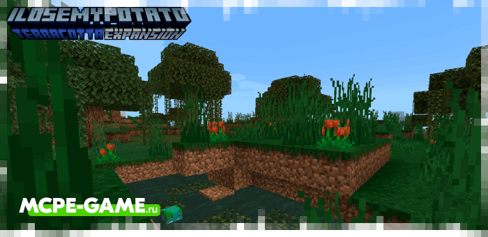 Swamp Biome from the Terracotta Expansion mod in Minecraft PE