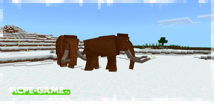 Mammoths from the Cenozoic Reborn mod for Minecraft