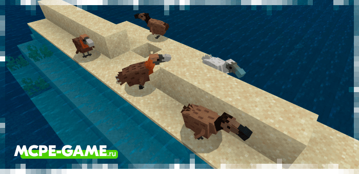 Додо из мода Cenozoic Reborn для Minecraft