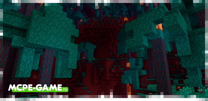 New Biomes from Minecraft 1.16.0.51