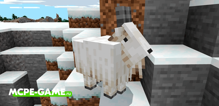 Mountain Goats in Minecraft 1.16.210.51