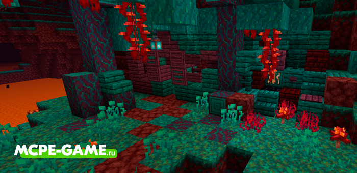 Biome Warped Forest