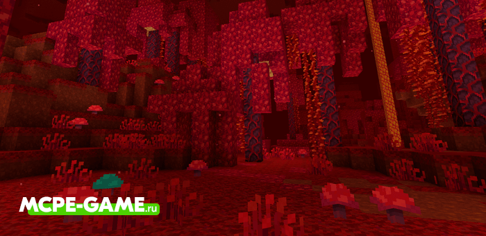 Biome Crimson Forest
