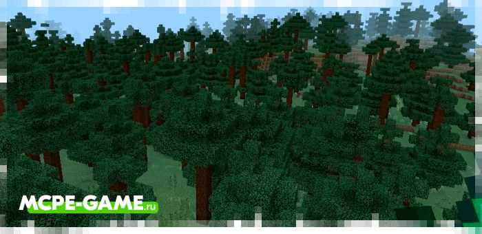 New biomes from the Survivalcraft mod for Minecraft