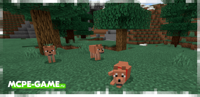 Brown wolves from the Wolves+ mod for Minecraft