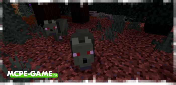 A zombified wolf from the Wolves+ mod for Minecraft