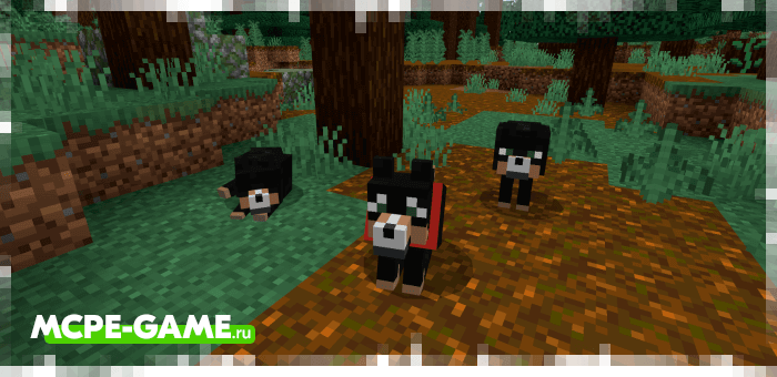 Black wolves from the Wolves+ mod for Minecraft