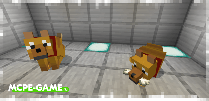An old version of the Saint Bernard and Wild Dog from the Wolves+ mod for Minecraft