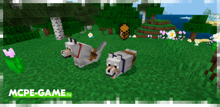 Pet Inventory from the Wolves+ mod for Minecraft