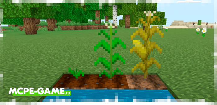 Minecraft More Plants Add-on